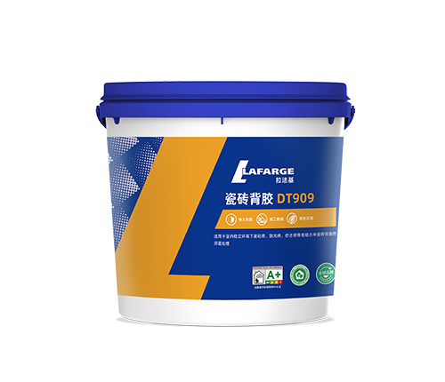 ��ש����DT909